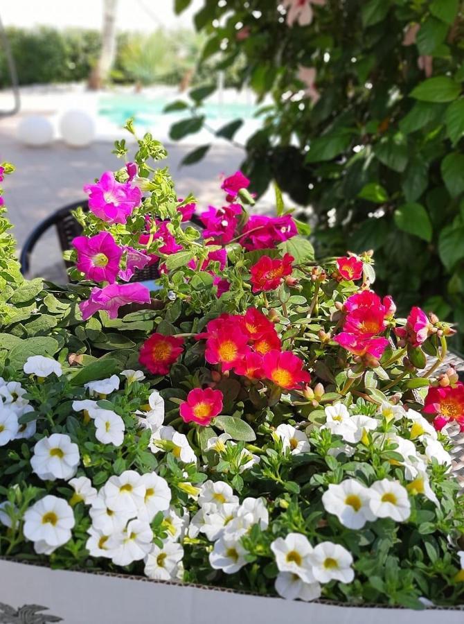 Villetta Del Salento Exclusive B&B Gallipoli Zewnętrze zdjęcie