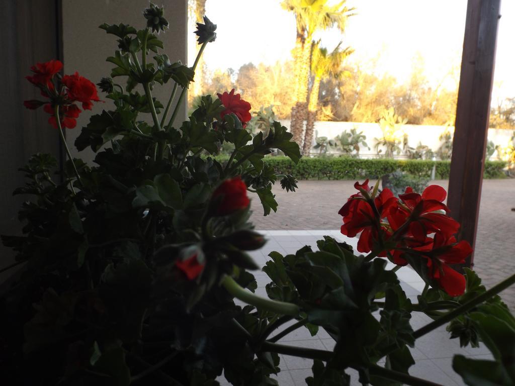 Villetta Del Salento Exclusive B&B Gallipoli Zewnętrze zdjęcie